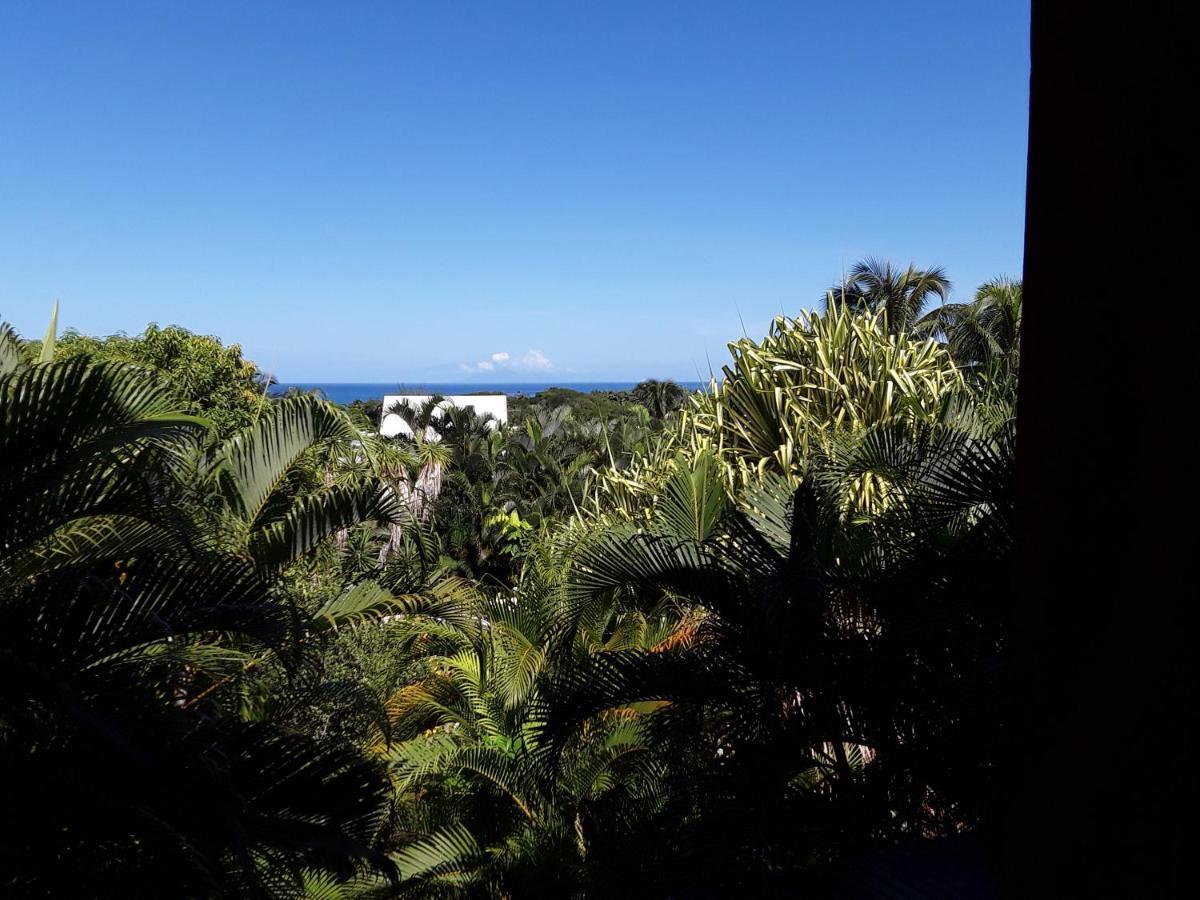 Villa Et Gites Le Safran - Le Triskell Deshaies Dış mekan fotoğraf