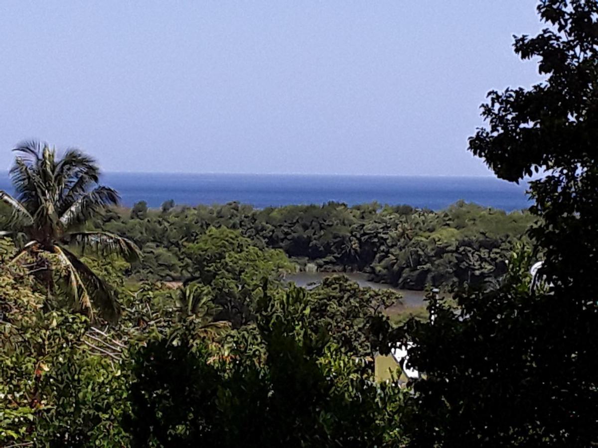 Villa Et Gites Le Safran - Le Triskell Deshaies Dış mekan fotoğraf